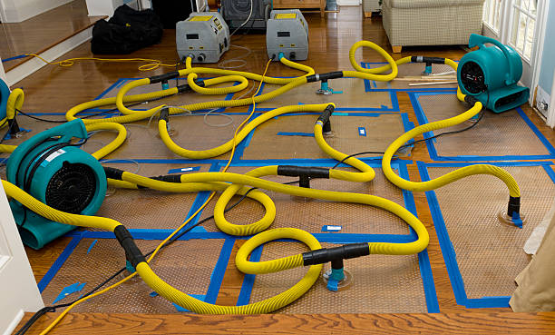 Professional Emergency Water Removal technician working in Pleasantville, PA